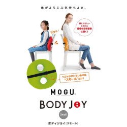 Japanese MOGU Body Joy cushion - small